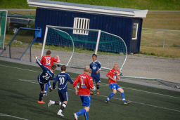 stall2012ogmidsund 073